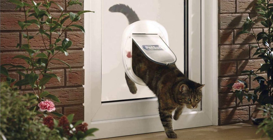 PetSafe Staywell puerta batiente para gatos - Revisión