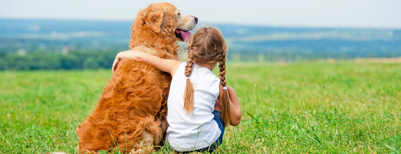 Las reglas para una buena convivencia entre perros y niños