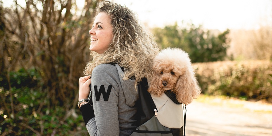 Cochecitos y mochilas para perros: las nuevas tendencias para llevar a nuestros amigos a pasear