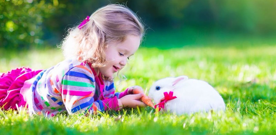 Consejos sobre cómo criar un conejo de forma saludable